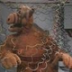Image for article titled Most frustrating TV shows canceled on a cliffhanger